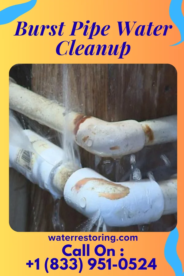 Burst Pipe Water Cleanup in Royal Kunia, HI