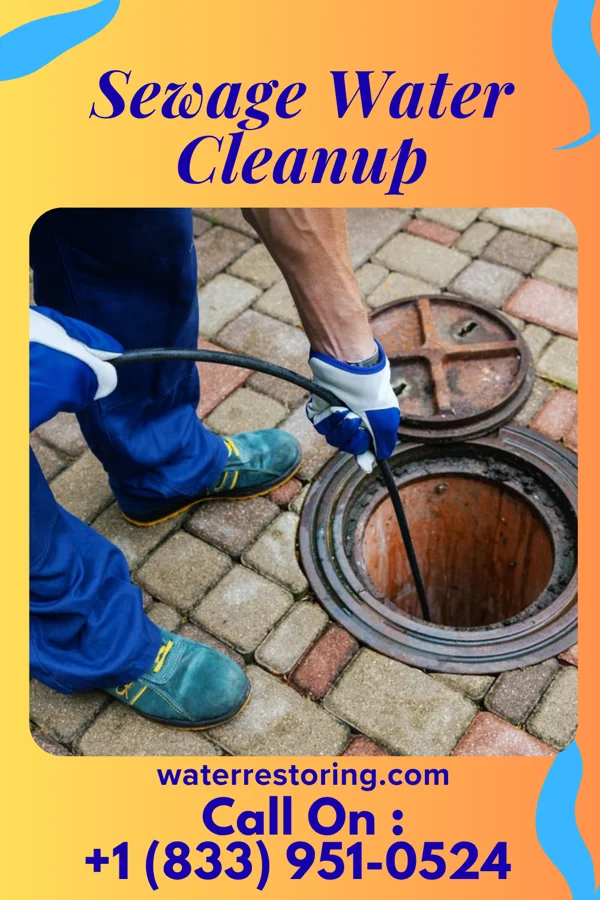 Sewage Water Cleanup in Royal Kunia, HI